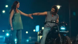 hindi cinema in 2025
