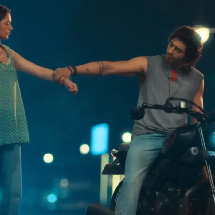 hindi cinema in 2025